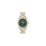 Montre philipp plein queen vert