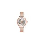 Montre pierre lannier automatic argent