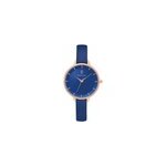 Montre pierre lannier delice bleu