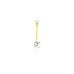 Piercing anthemis or jaune oxyde
